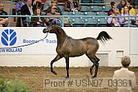 usn07_08361 proof