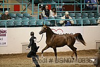 usn07_08362 proof
