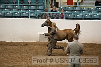 usn07_08363 proof