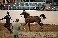 usn07_08364 proof