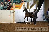 usn07_08365 proof