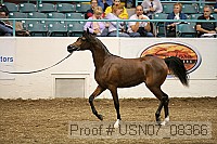 usn07_08366 proof