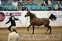 usn07_08368 proof