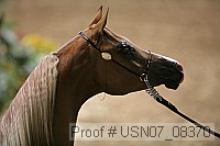 usn07_08370 proof
