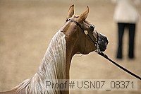usn07_08371 proof