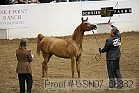usn07_08382 proof