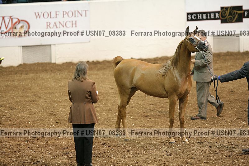 Proof usn07_08383