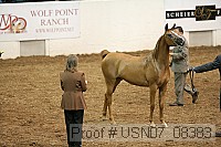 usn07_08383 proof