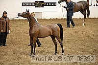 usn07_08392 proof