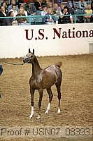 usn07_08393 proof