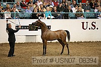 usn07_08394 proof