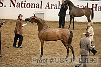 usn07_08395 proof