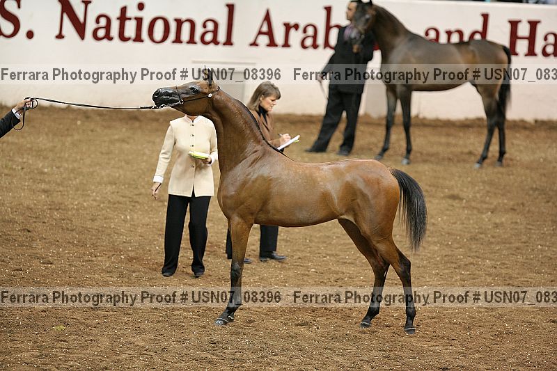 Proof usn07_08396