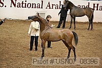 usn07_08396 proof