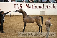 usn07_08397 proof