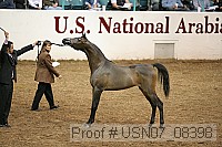 usn07_08398 proof