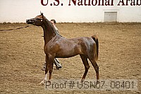 usn07_08401 proof