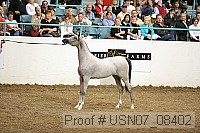 usn07_08402 proof