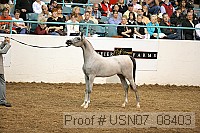 usn07_08403 proof