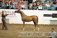 usn07_08404 proof