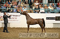 usn07_08405 proof
