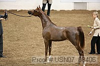 usn07_08406 proof