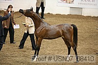 usn07_08410 proof