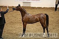 usn07_08411 proof