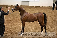 usn07_08412 proof