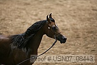 usn07_08413 proof