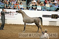 usn07_08416 proof