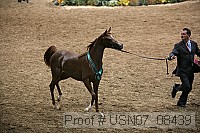 usn07_08439 proof