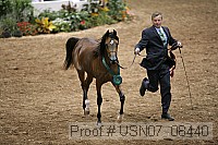 usn07_08440 proof
