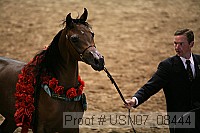 usn07_08444 proof