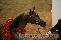 usn07_08445 proof