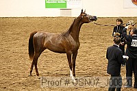 usn07_j00620 proof