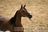 usn07_j00624 proof