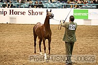 usn07_j00629 proof