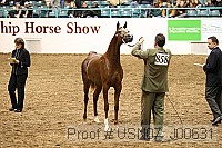 usn07_j00631 proof