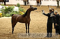 usn07_j00634 proof