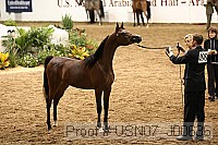 usn07_j00636 proof