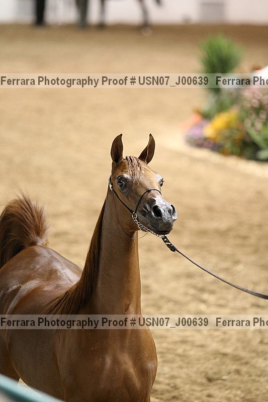 Proof usn07_j00639