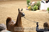 usn07_j00640 proof