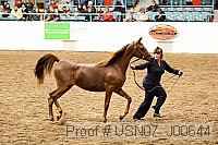 usn07_j00644 proof