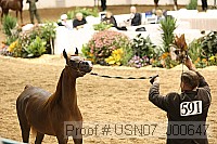 usn07_j00647 proof