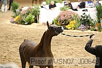 usn07_j00648 proof