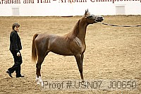 usn07_j00650 proof