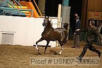 usn07_j00653 proof