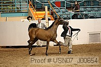 usn07_j00654 proof
