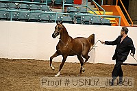 usn07_j00656 proof